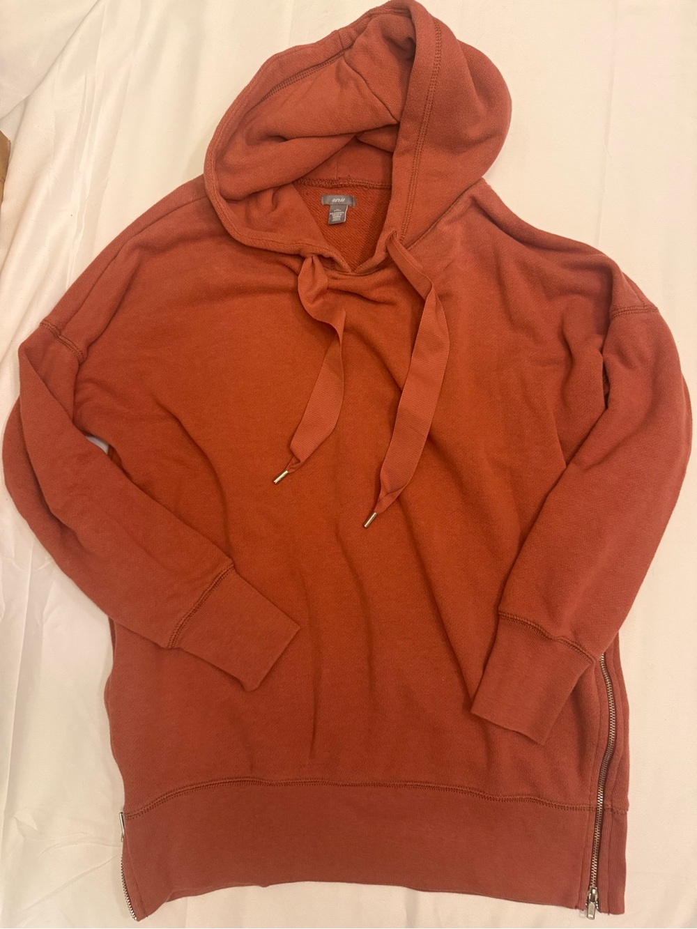 aerie Rust Orange Hoodie Sweatshirt